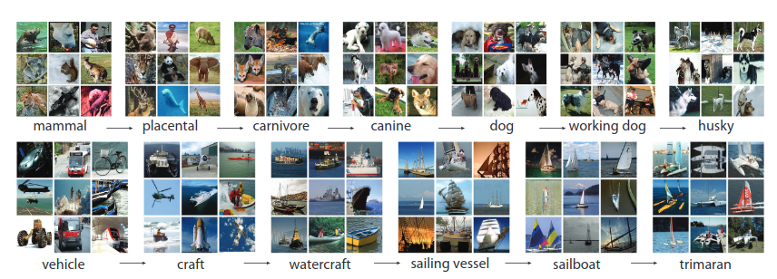 An example of images from the ImageNet hierarchy (<a href='http://www.image-net.org/papers/imagenet_cvpr09.pdf'>Source</a>)